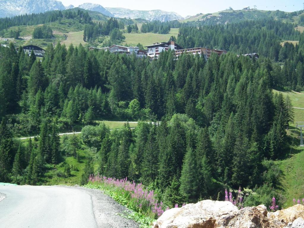 Nassfeld Apartments - "Traditionell Anders" Sonnenalpe Nassfeld Rom bilde